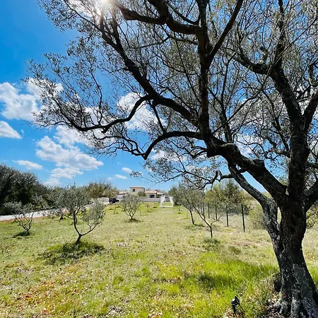 Villa Luxury In Istria - 9,000 Sqm Private Estate With Pool & Sauna, 15 Min To Sea, Near Fazana, 3 Bedrooms