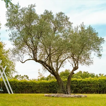 Villa Luxury In Istria - 9,000 Sqm Private Estate With Pool & Sauna, 15 Min To Sea, Near Fazana, 3 Bedrooms Jursici