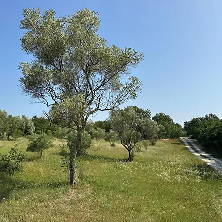 فيلة Luxury In Istria - 9,000 Sqm Private Estate With Pool & Sauna, 15 Min To Sea, Near Fazana, 3 Bedrooms Juršići